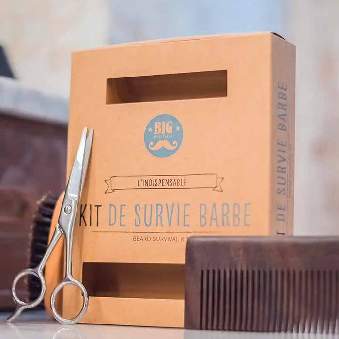 Big Moustache Kit de Survie Barbe - POMGO