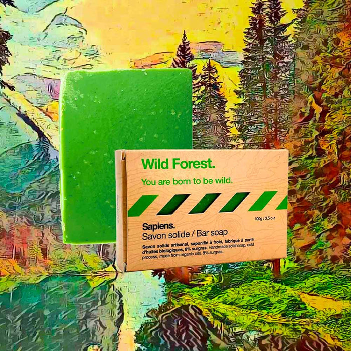 Sapiens Savon Solide - Wild Forest - POMGO